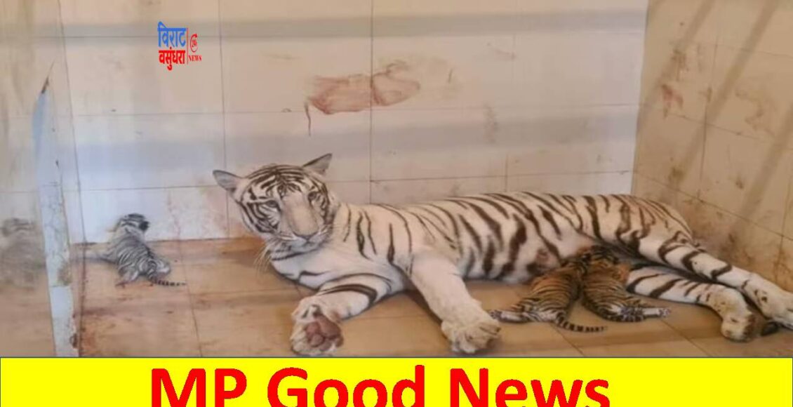 MP Good News