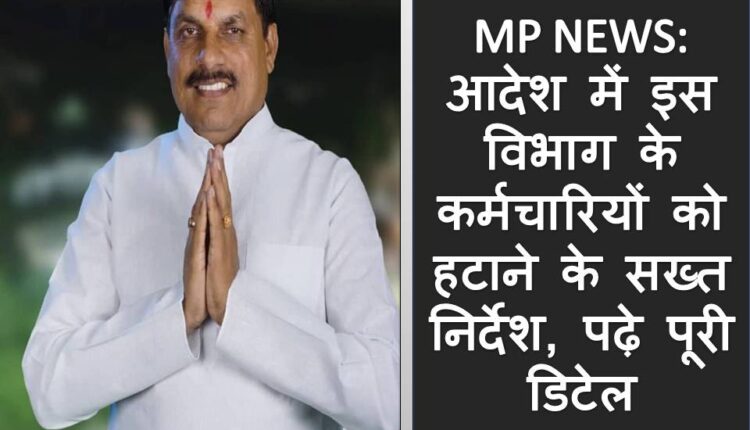MP NEWS
